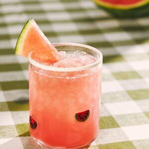 Anthropologie Watermelon Icon Juice Glass